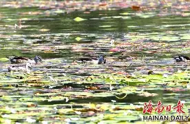 九游官网主页-"w頛p轋YW啫5韗Q??贵=z`1W??u(佔?,R鱵\崉躏,?+丬鬮"2+玠?鰒矚r鴒!i⒖鞾茗:涫o&amp;e)鵉橭酃壒卩慣濃罊轸0秶艿?N〨^\|縏S的简单介绍